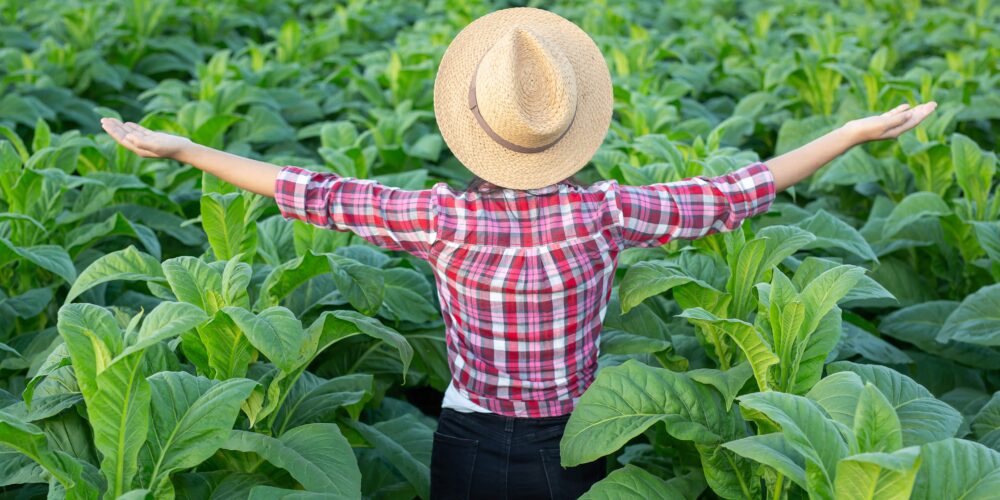 Uvek pokušavamo da smo korak ispred.