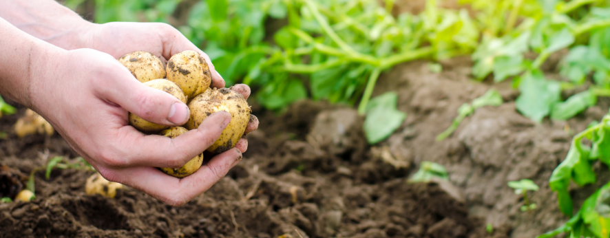 Drugi prepoznaju našu snagu